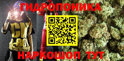 прущие грибы Аргун