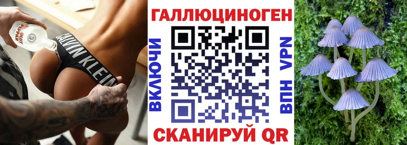 дарк нет какой сайт  магазин    блэк спрут ссылка  Новотроицк  Псилоцибиновые грибы Magic Shrooms 