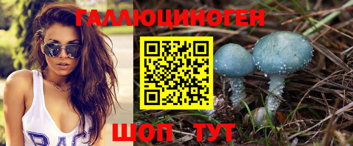 Псилоцибиновые грибы прущие грибы  Новотроицк  Псилоцибиновые грибы Magic Shrooms 