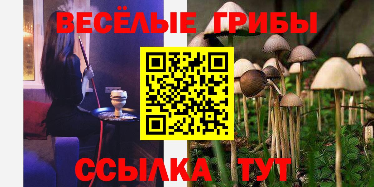 Новотроицк  Галлюциногенные грибы Cubensis  Вход с VPN  купить наркотик  Псилоцибиновые грибы MAGIC MUSHROOMS 